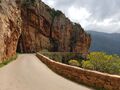 corse 031